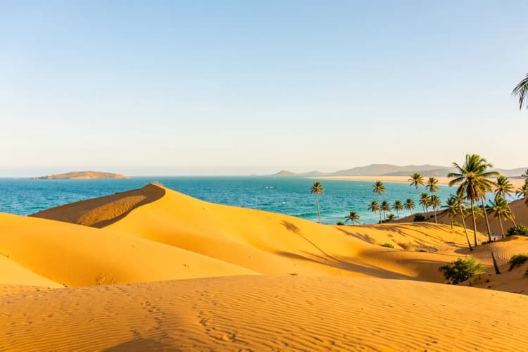 Paisagem de Jericoacoara com dunas, coqueiros e o mar azul-turquesa.